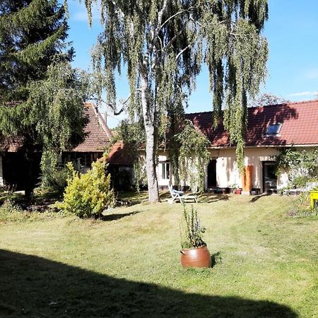 Le Domaine Des Anges Guest House Wavrans-sur-l'Aa Exterior photo